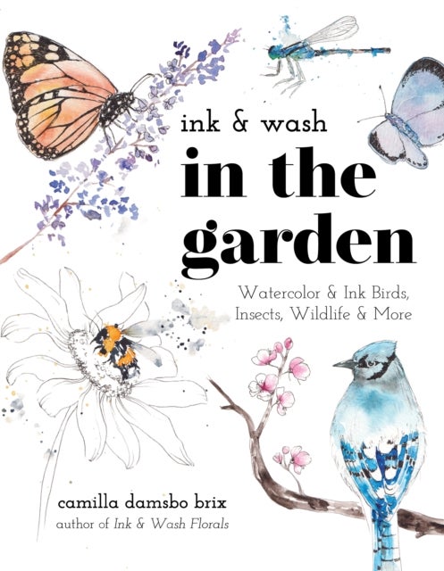 Ink & Wash in the Garden - Watercolor & Ink Birds, Insects, Wildlife and More
