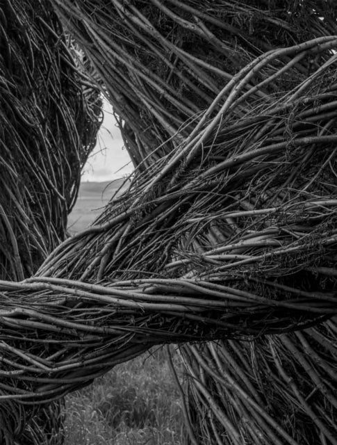 Patrick Dougherty / James Florio: Sticks
