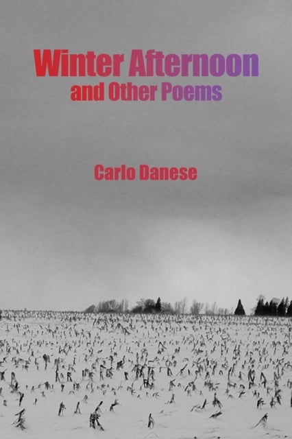 Winter Afternoon and Other Poems