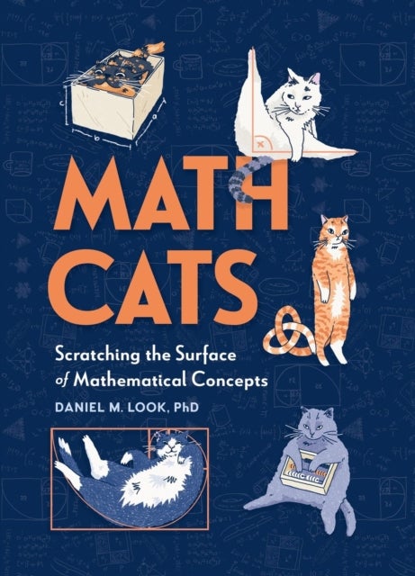 Math Cats - Scratching the Surface of Mathematical Concepts