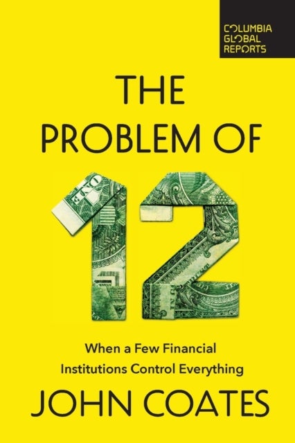The Problem of Twelve - When a Few Financial Institutions Control Everything