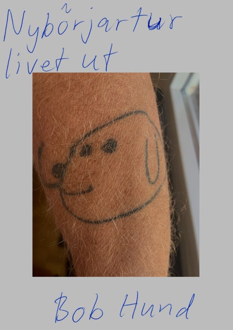 Bob Hund - Nybörjartur livet ut