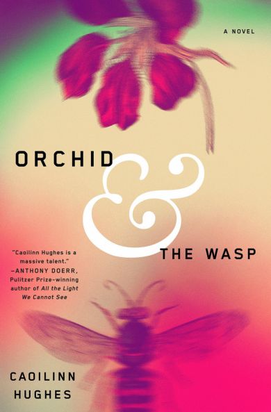 Orchid and the wasp