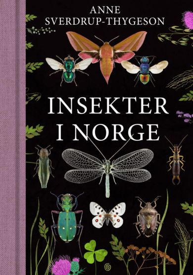 Insekter i Norge 