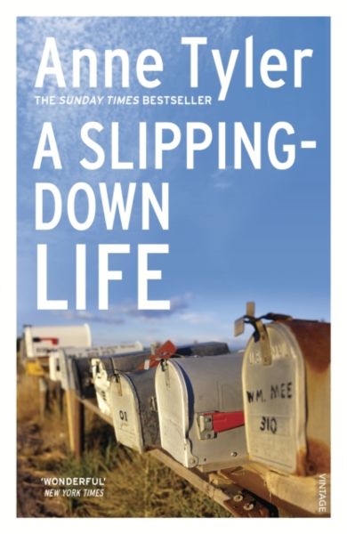 A Slipping Down Life