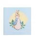 Album Peter Rabbit Slip In Sqr