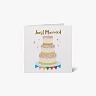 Kort Just Married Bright Cake