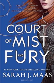 A court of mist and fury