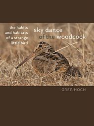 Sky Dance of the Woodcock