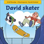 David skater