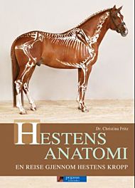 Hestens anatomi