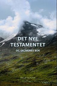 Det nye testamentet og Salmenes bok