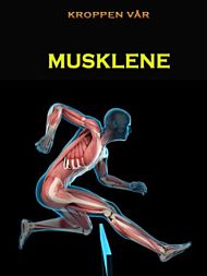 Musklene