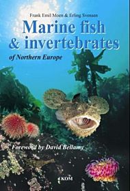 Marine fish and invertebrates of Northern Europe