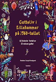 Gutteliv i Lillehammer pÃ¥ 1960-tallet 66 historier fortalt av 34 voksne gutter
