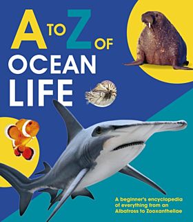 A to Z of Ocean Life