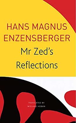 Mr Zed's Reflections