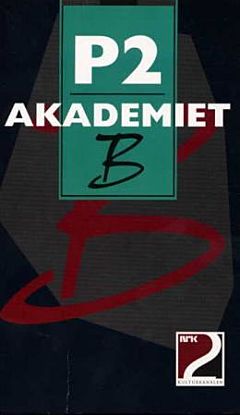 P2-Akademiet B