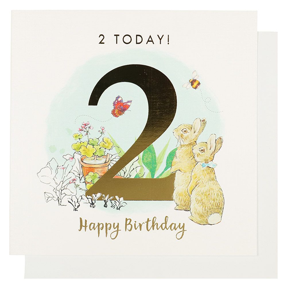 Systemkort PC 2 Today Peter Rabbit