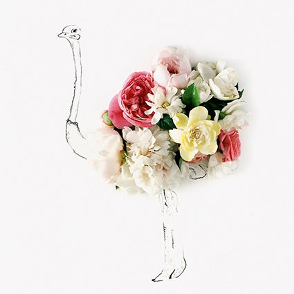 Kort 15X15  Kari Herer Ostrich