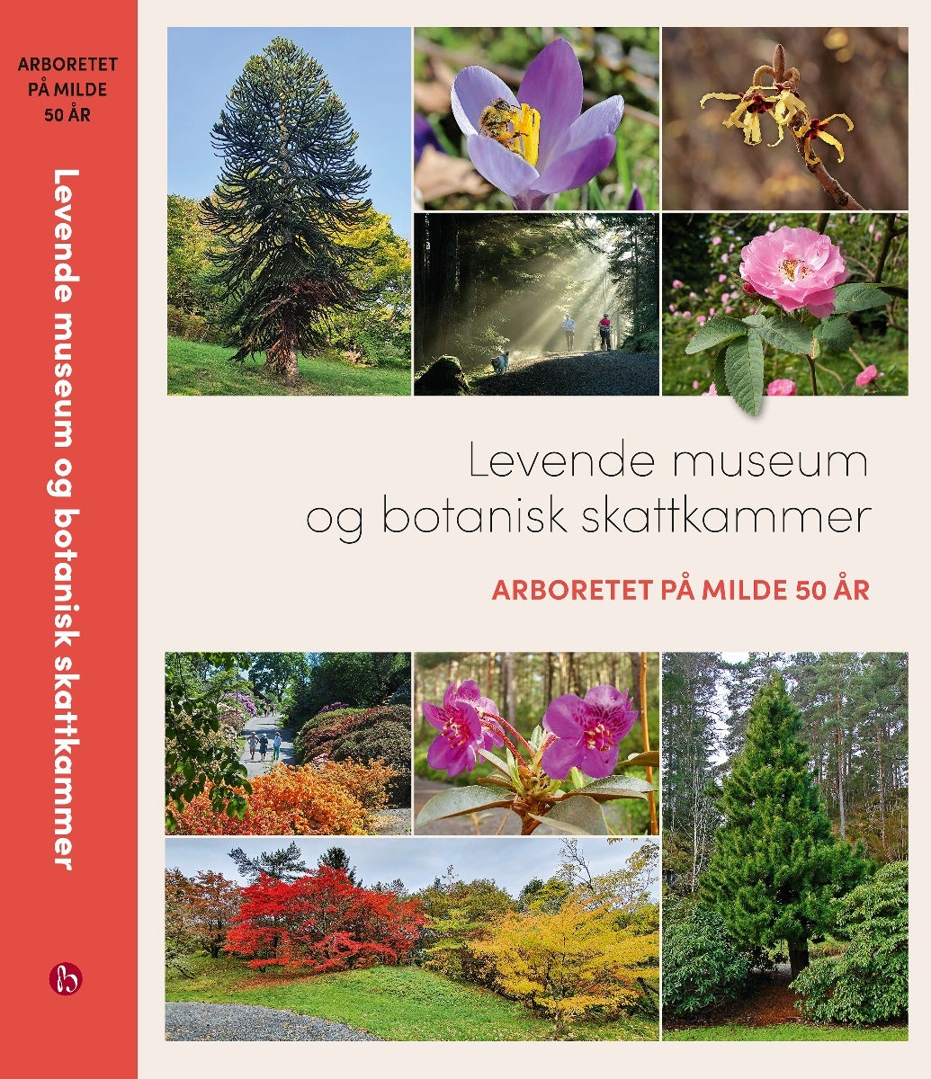 Levende museum og botanisk skattkammer - Aboretet på Milde 50 år