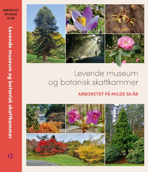 Levende museum og botanisk skattkammer - Aboretet på Milde 50 år