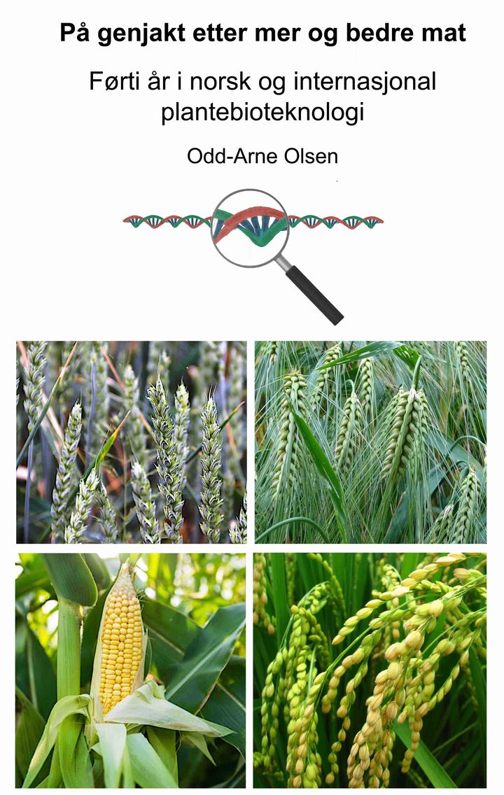 På genjakt etter mer og bedre mat - førti år i norsk og internasjonal plantebioteknologi