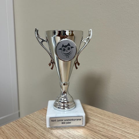 Pokal Norli Junior lesekonkurranse 800 sider - Sølvpokal