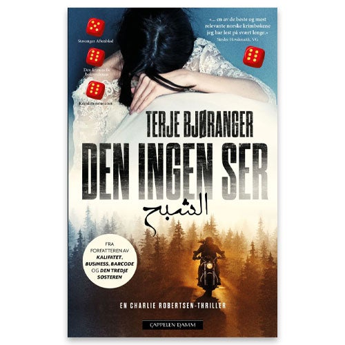 Den ingen ser av Terje Bjøranger