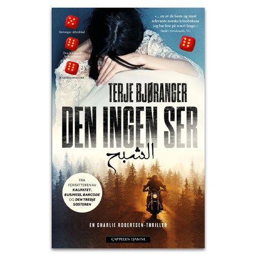 Spennende krimbok fra 2024: Thrilleren Den ingen ser Terje Bjøranger