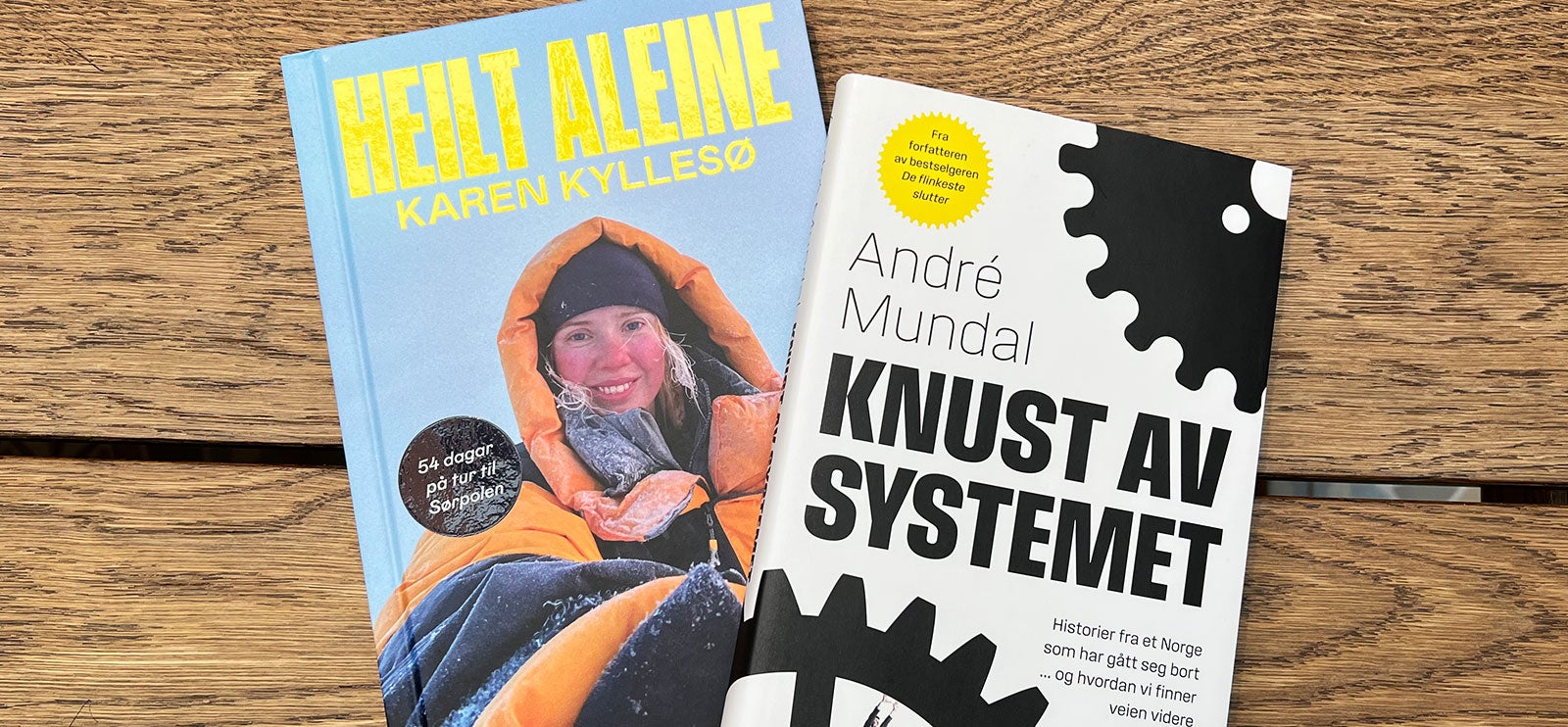 Dokumentar og fakta Dokumentar og fakta: Heilt aleine av Karen Kyllesø og Knust av systemet av Andre Mundal.