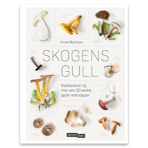 Skogens gull av Anne Mæhlum. God soppbok for nybegynnere og erfarne sankere.