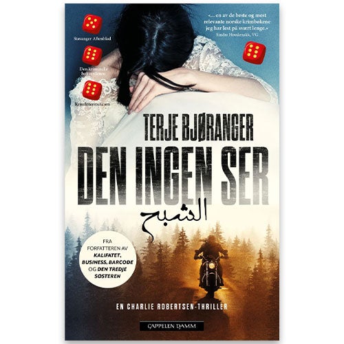 Den ingen ser av Terje Bjøranger