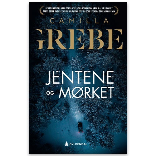 Jentene og mørket av Camilla Grebe