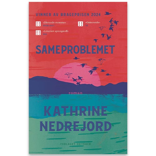 Sameproblemet - roman Kathrine Nedrejord