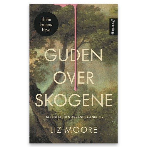 Guden over skogene av Liz Moore. En spennende krimbok som har fått gode anmeldelser.