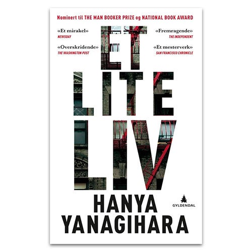 A little life på norsk: Et lite liv - roman Hanya Yanagihara
