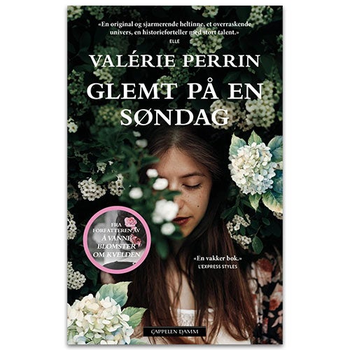 Ny bok Valérie Perrin - Glemt på en søndag 