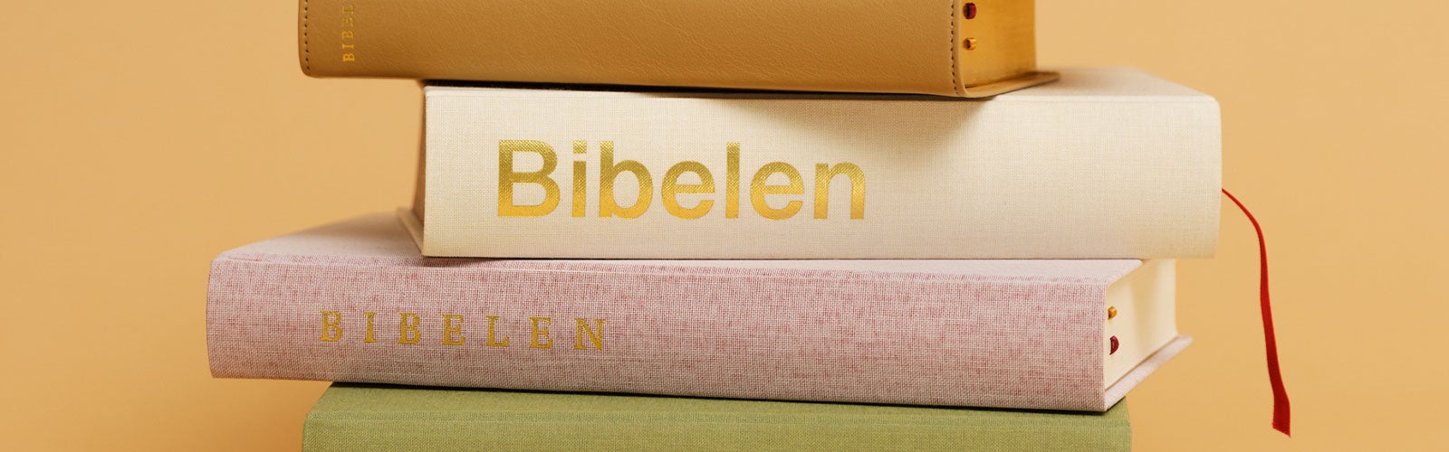 Bibel 2024