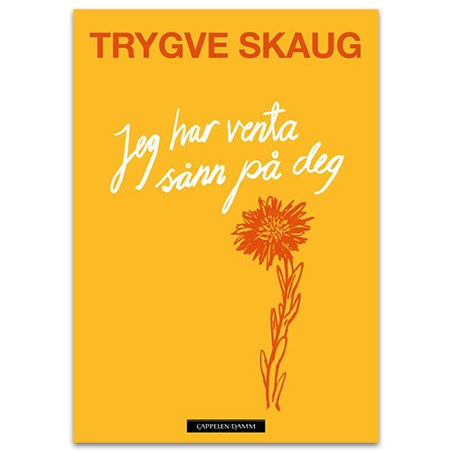 Jeg har venta sånn på deg - dikt Trygve Skaug